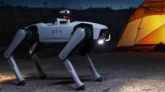 XT-1: A Modular Robot Dog Platform for Education and Remote