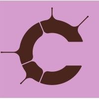 Callosum